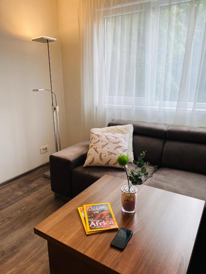 City Center Apartment Timisoara Exterior foto